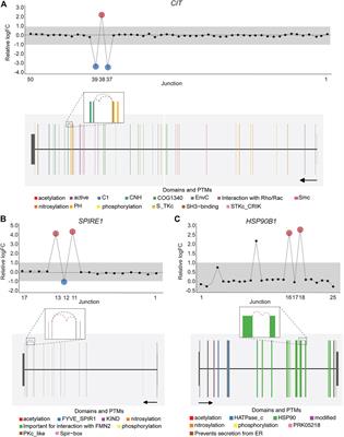 DJExpress: An Integrated Application for Differential Splicing Analysis and Visualization